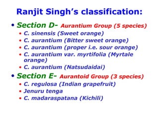 Ranjit Singh’s classification:
• Section D- Aurantium Group (5 species)
• C. sinensis (Sweet orange)
• C. aurantium (Bitter sweet orange)
• C. aurantium (proper i.e. sour orange)
• C. aurantium var. myrtifolia (Myrtale
orange)
• C. aurantium (Natsudaidai)
• Section E- Aurantoid Group (3 species)
• C. regulosa (Indian grapefruit)
• Jenuru tenga
• C. madaraspatana (Kichili)
 