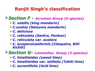 Ranjit Singh’s classification
Section F - Acrumen Group (6 species)
C. nobilis (king mandarin)
C.unshiu (Satsuma mandarin)
C. deliciosa
C. reticulata (Santra, Ponkan)
C. reticulata var. austera
C. lycopersicaeformis (Cleopatra, Billi
Kichili)
Section G- Limonellus Group (3 species)
C. limettioides (sweet lime)
C. limettioides var. latifolia (Tahiti lime)
C. aurantifolia (Acid lime)
 