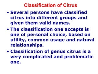 Classification of Citrus
• Several persons have classified
citrus into different groups and
given them valid names.
• The classification one accepts is
one of personal choice, based on
utility, common usage and natural
relationships.
• Classification of genus citrus is a
very complicated and problematic
one.
 