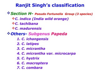 Ranjit Singh’s classification
Section H- Pseudo Fortunella Group (3 species)
C. indica (India wild orange)
C. tachibana
C. madurensis
Others- Subgenus Papeda
1. C. ichangensis
2. C. latipes
3. C. micrantha
4. C. micrantha var. microcarpa
5. C. hystrix
6. C. macroptera
7. C. combara
 