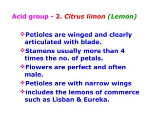 Petioles are winged and clearly
articulated with blade.
Stamens usually more than 4
times the no. of petals.
Flowers are perfect and often
male.
Petioles are with narrow wings
includes the lemons of commerce
such as Lisban & Eureka.
Acid group - 2. Citrus limon (Lemon)
 