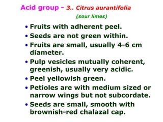 • Fruits with adherent peel.
• Seeds are not green within.
• Fruits are small, usually 4-6 cm
diameter.
• Pulp vesicles mutually coherent,
greenish, usually very acidic.
• Peel yellowish green.
• Petioles are with medium sized or
narrow wings but not subcordate.
• Seeds are small, smooth with
brownish-red chalazal cap.
Acid group - 3.. Citrus aurantifolia
(sour limes)
 