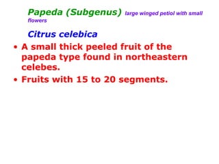 Papeda (Subgenus) large winged petiol with small
flowers
Citrus celebica
• A small thick peeled fruit of the
papeda type found in northeastern
celebes.
• Fruits with 15 to 20 segments.
 