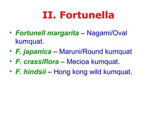 II. Fortunella
• Fortunell margarita – Nagami/Oval
kumquat.
• F. japanica – Maruni/Round kumquat
• F. crassiflora – Mecioa kumquat.
• F. hindsii – Hong kong wild kumquat.
 