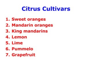 Citrus Cultivars
1. Sweet oranges
2. Mandarin oranges
3. King mandarins
4. Lemon
5. Lime
6. Pummelo
7. Grapefruit
 