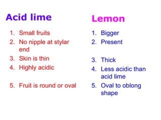 1. Small fruits
2. No nipple at stylar
end
3. Skin is thin
4. Highly acidic
5. Fruit is round or oval
1. Bigger
2. Present
3. Thick
4. Less acidic than
acid lime
5. Oval to oblong
shape
Acid lime Lemon
 