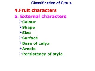 Classification of Citrus
4.Fruit characters
a. External characters
Colour
Shape
Size
Surface
Base of calyx
Areole
Persistency of style
 