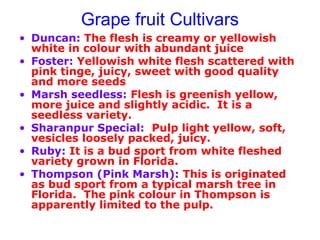 Grape fruit Cultivars
• Duncan: The flesh is creamy or yellowish
white in colour with abundant juice
• Foster: Yellowish white flesh scattered with
pink tinge, juicy, sweet with good quality
and more seeds
• Marsh seedless: Flesh is greenish yellow,
more juice and slightly acidic. It is a
seedless variety.
• Sharanpur Special: Pulp light yellow, soft,
vesicles loosely packed, juicy.
• Ruby: It is a bud sport from white fleshed
variety grown in Florida.
• Thompson (Pink Marsh): This is originated
as bud sport from a typical marsh tree in
Florida. The pink colour in Thompson is
apparently limited to the pulp.
 