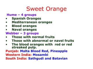 Sweet Orange
Hume – 4 groups
• Spanish Oranges
• Mediterranean oranges
• Blood oranges
• Naval oranges
Webber – 3 groups
• Those with normal fruits
• Those with abnormal or navel fruits
• The blood oranges with red or red
streaked pulp.
Punjab: Malta Blood Red, Pineapple
Western India: Mosambi
South India: Sathgudi and Batavian
 