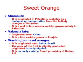 Sweet Orange
• Shamouti:
– It is originated in Palestine, probably as a
budsport or bud mutation from the Bellady
oranges of Palastine.
– It is a mid to late season variety, grown mainly in
Palestine.
• Valancia late:
– Originated from China.
– It is a late variety grown in Punjab.
• Washington navel oranges:
– It is originated near Bahia, Brazil.
– The apex of the fruit is slightly protruded
originated broadly nippled.
– It is an early variety, found promising at Kodur,
A.P.
 