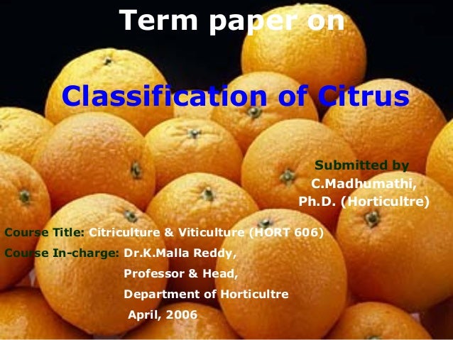 Citrus Variety Chart