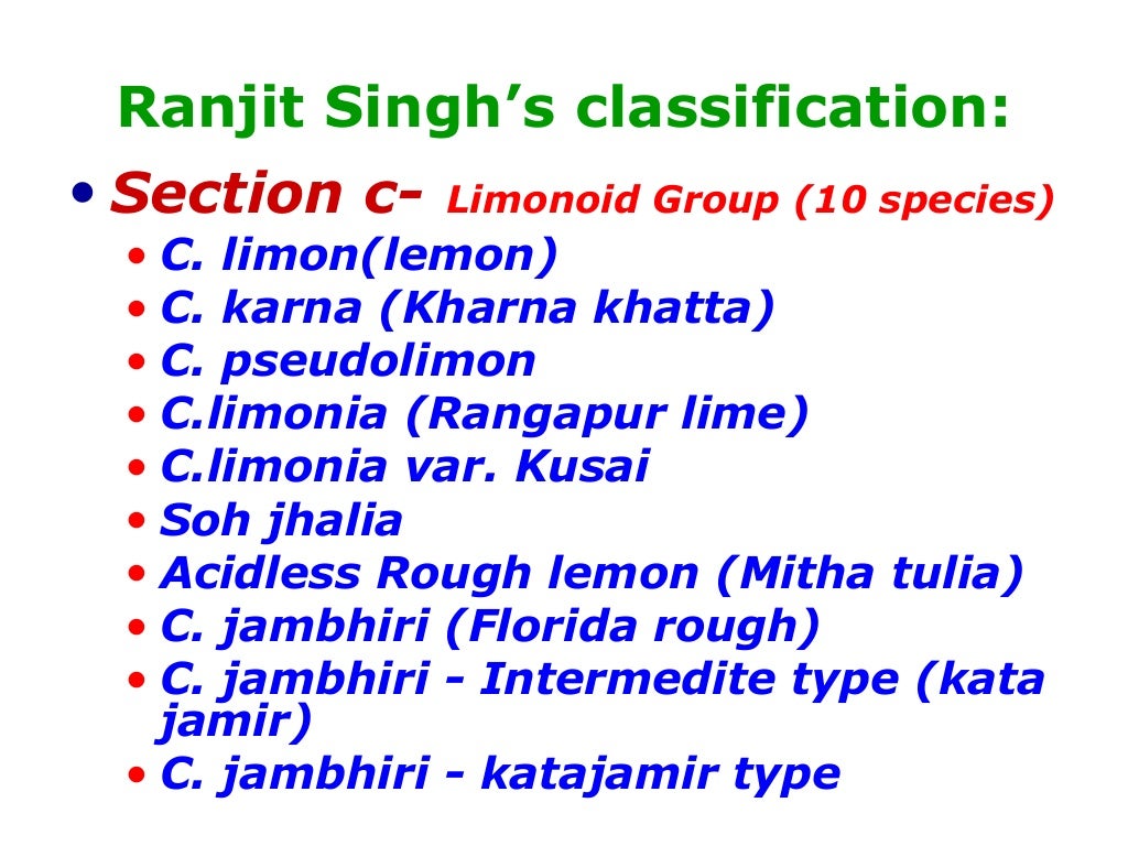 citrus classification