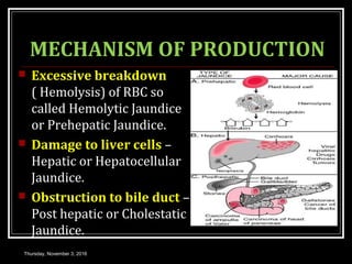 MECHANISM OF PRODUCTION
 Excessive breakdown
( Hemolysis) of RBC so
called Hemolytic Jaundice
or Prehepatic Jaundice.
 Damage to liver cells –
Hepatic or Hepatocellular
Jaundice.
 Obstruction to bile duct –
Post hepatic or Cholestatic
Jaundice.
Thursday, November 3, 2016
 