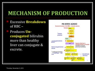 MECHANISM OF PRODUCTION
 Excessive Breakdown
of RBC –
 Produces Un-
conjugated bilirubin
more than healthy
liver can conjugate &
excrete.
Thursday, November 3, 2016
 