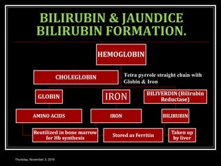BILIRUBIN & JAUNDICE
BILIRUBIN FORMATION.
Thursday, November 3, 2016
Tetra pyrrole straight chain with
Globin & Iron
 