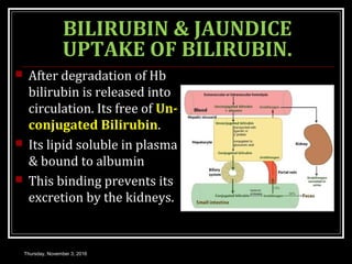 BILIRUBIN & JAUNDICE
UPTAKE OF BILIRUBIN.
 After degradation of Hb
bilirubin is released into
circulation. Its free of Un-
conjugated Bilirubin.
 Its lipid soluble in plasma
& bound to albumin
 This binding prevents its
excretion by the kidneys.
Thursday, November 3, 2016
 