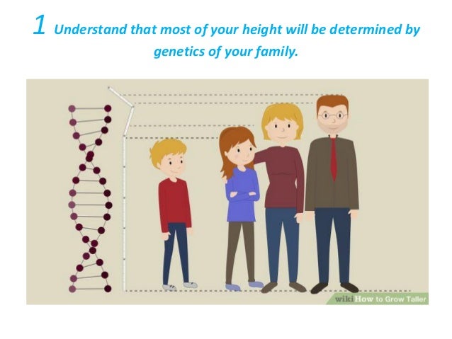 How to Grow Taller