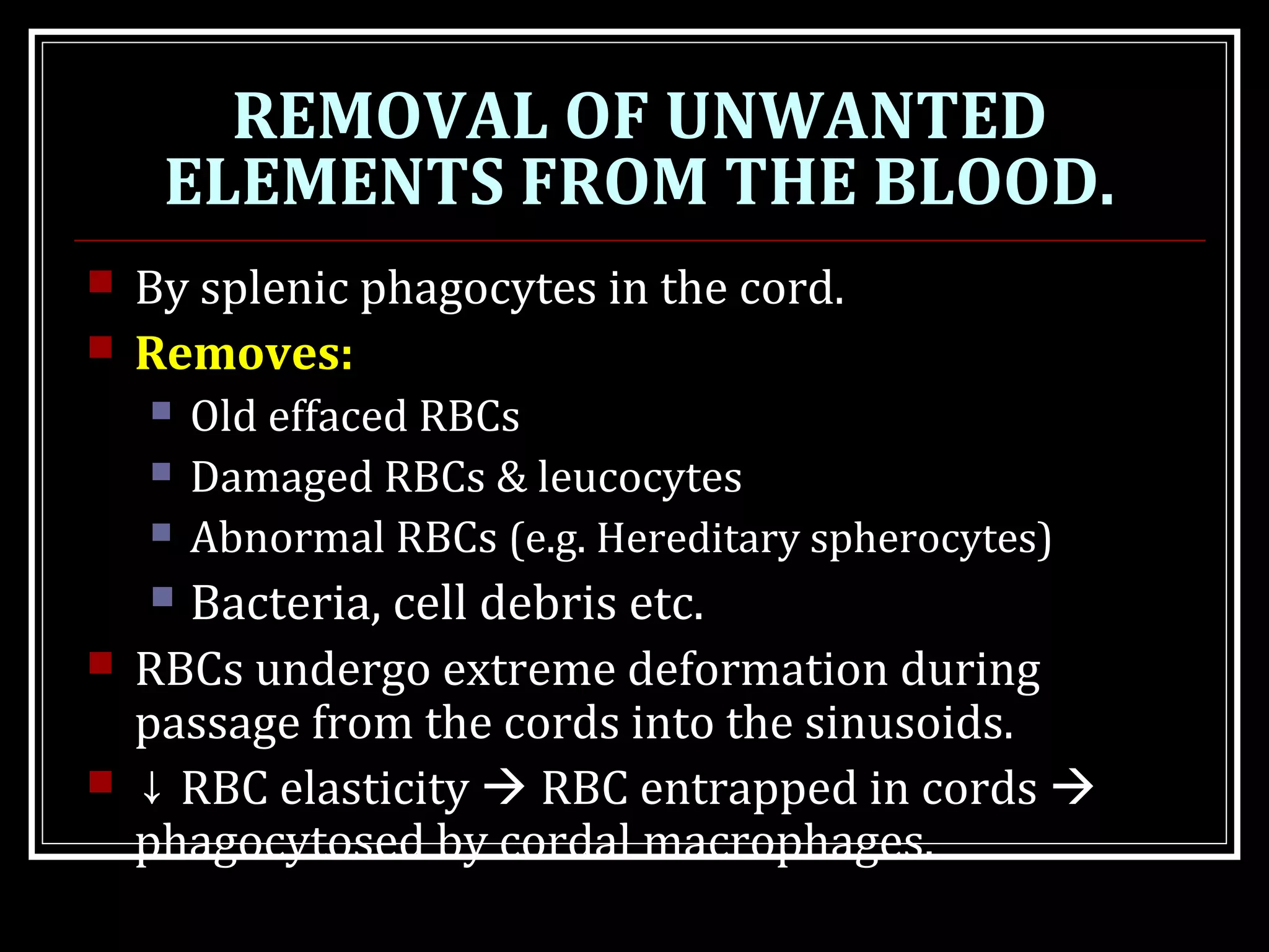 REMOVAL OF UNWANTED
ELEMENTS FROM THE BLOOD.
 By splenic phagocytes in the cord.
 Removes:
 Old effaced RBCs
 Damaged RBCs & leucocytes
 Abnormal RBCs (e.g. Hereditary spherocytes)
 Bacteria, cell debris etc.
 RBCs undergo extreme deformation during
passage from the cords into the sinusoids.
 ↓ RBC elasticity  RBC entrapped in cords 
phagocytosed by cordal macrophages.
 