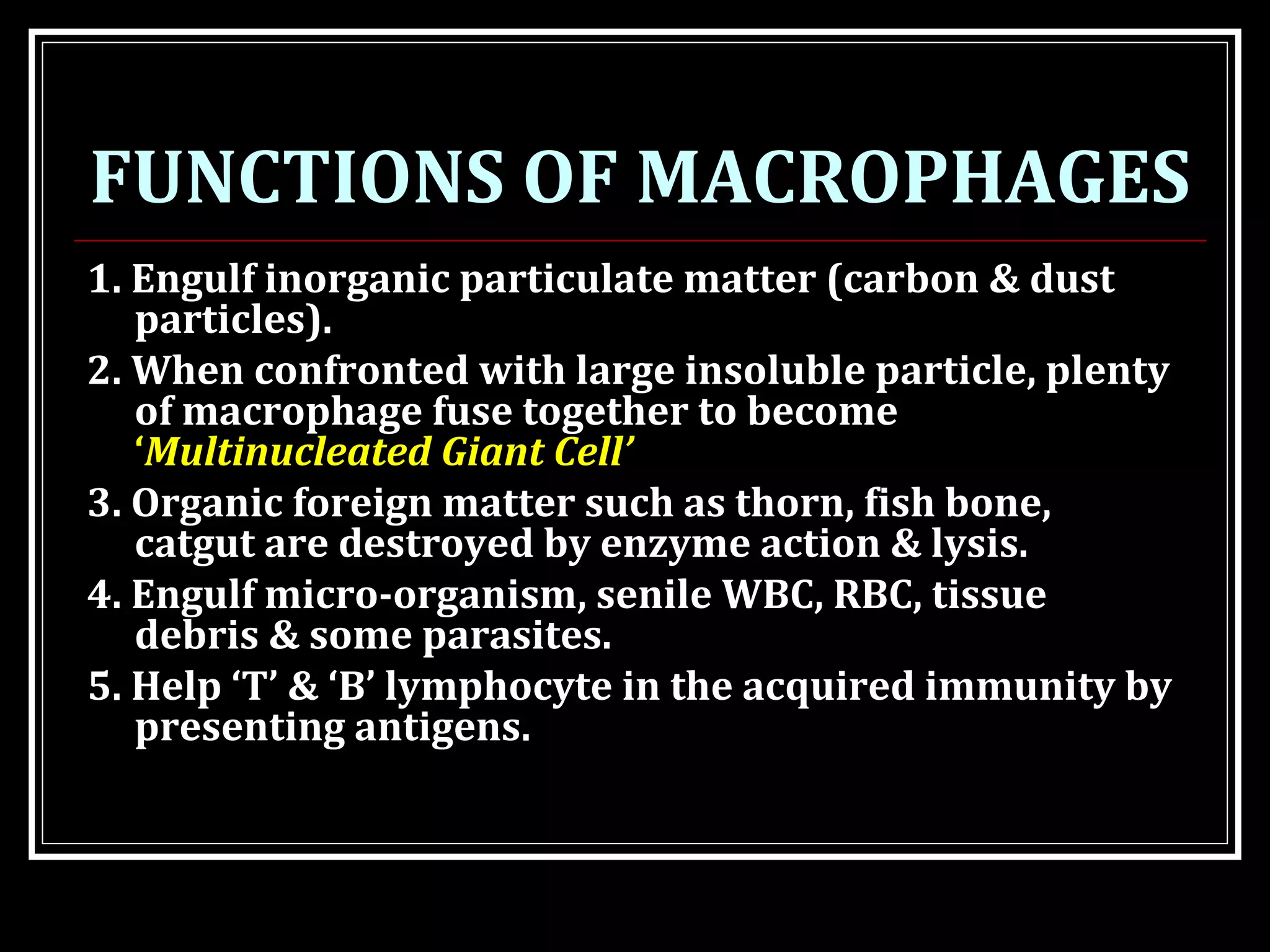 FUNCTIONS OF MACROPHAGES
1. Engulf inorganic particulate matter (carbon & dust
particles).
2. When confronted with large insoluble particle, plenty
of macrophage fuse together to become
‘Multinucleated Giant Cell’
3. Organic foreign matter such as thorn, fish bone,
catgut are destroyed by enzyme action & lysis.
4. Engulf micro-organism, senile WBC, RBC, tissue
debris & some parasites.
5. Help ‘T’ & ‘B’ lymphocyte in the acquired immunity by
presenting antigens.
 