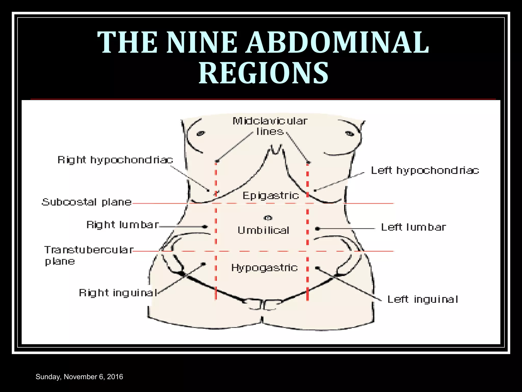 THE NINE ABDOMINAL
REGIONS
Sunday, November 6, 2016
 
