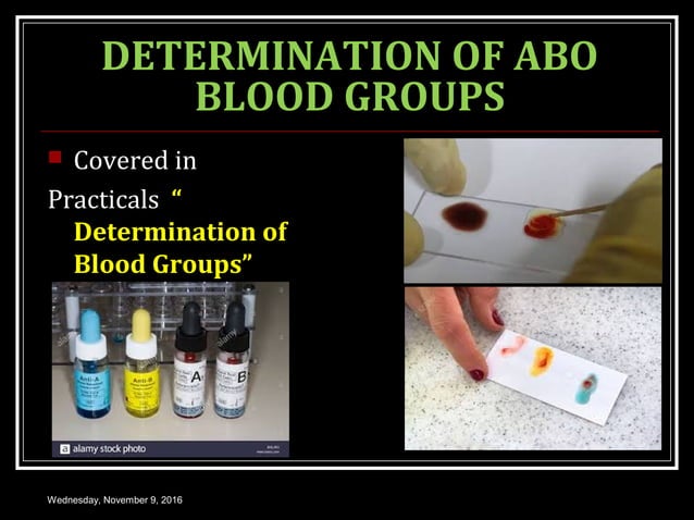 BLOOD GROUP SYSTEM PPT