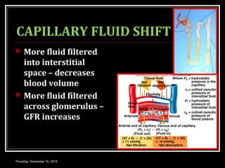 CAPILLARY FLUID SHIFT
 More fluid filtered
into interstitial
space – decreases
blood volume
 More fluid filtered
across glomerulus –
GFR increases
Thursday, November 10, 2016
 