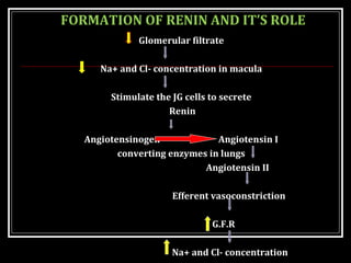 FORMATION OF RENIN AND IT’S ROLE
Glomerular filtrate
Na+ and Cl- concentration in macula
Stimulate the JG cells to secrete
Renin
Angiotensinogen Angiotensin I
converting enzymes in lungs
Angiotensin II
Efferent vasoconstriction
G.F.R
Na+ and Cl- concentration
 