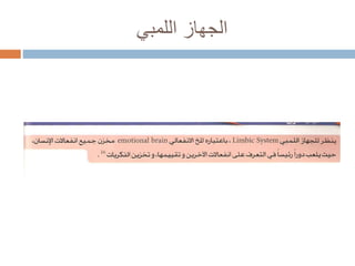 ‫اللمبي‬ ‫الجهاز‬
 
