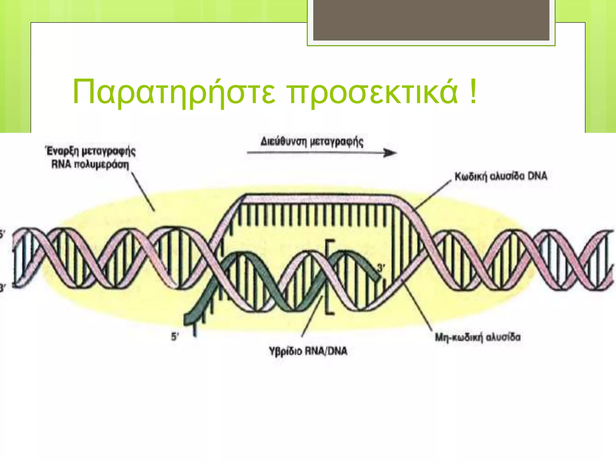 Παρατηρήστε προσεκτικά !
 