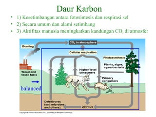 balanced
Daur Karbon
• 1) Kesetimbangan antara fotosintesis dan respirasi sel
• 2) Secara umum dan alami setimbang
• 3) Aktifitas manusia meningkatkan kandungan CO2 di atmosfer
 