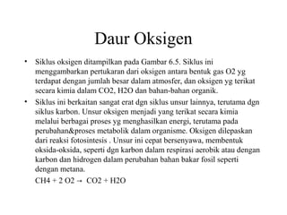 Daur Oksigen
• Siklus oksigen ditampilkan pada Gambar 6.5. Siklus ini
menggambarkan pertukaran dari oksigen antara bentuk gas O2 yg
terdapat dengan jumlah besar dalam atmosfer, dan oksigen yg terikat
secara kimia dalam CO2, H2O dan bahan-bahan organik.
• Siklus ini berkaitan sangat erat dgn siklus unsur lainnya, terutama dgn
siklus karbon. Unsur oksigen menjadi yang terikat secara kimia
melalui berbagai proses yg menghasilkan energi, terutama pada
perubahan&proses metabolik dalam organisme. Oksigen dilepaskan
dari reaksi fotosintesis . Unsur ini cepat bersenyawa, membentuk
oksida-oksida, seperti dgn karbon dalam respirasi aerobik atau dengan
karbon dan hidrogen dalam perubahan bahan bakar fosil seperti
dengan metana.
CH4 + 2 O2 CO2 + H2O→
 