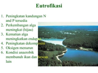 HUMAN IMPACTSEutrofikasi
1. Peningkatan kandungan N
and P tersedia
2. Perkembangan alga
meningkat (hijau)
3. Kematian alga
meningkatkan endapan
4. Peningkatan dekomposisi
5. Oksigen menurun
6. Kondisi anaerobik
membunuh ikan dan hewan
lain
 