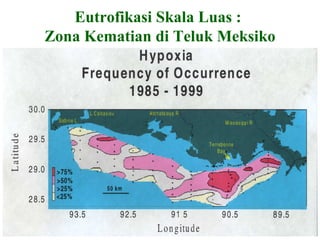 Eutrofikasi Skala Luas :
Zona Kematian di Teluk Meksiko
 