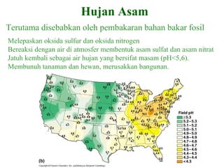 Terutama disebabkan oleh pembakaran bahan bakar fosil
Melepaskan oksida sulfur dan oksida nitrogen
Bereaksi dengan air di atmosfer membentuk asam sulfat dan asam nitrat
Jatuh kembali sebagai air hujan yang bersifat masam (pH<5,6).
Membunuh tanaman dan hewan, merusakkan bangunan.
Hujan Asam
 