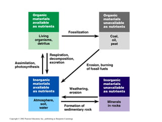 Copyright © 2002 Pearson Education, Inc., publishing as Benjamin Cummings
 