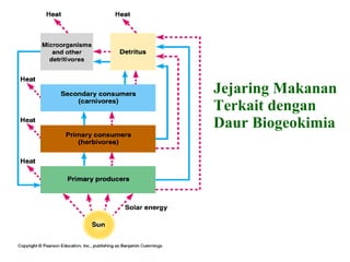 Jejaring Makanan
Terkait dengan
Daur Biogeokimia
 
