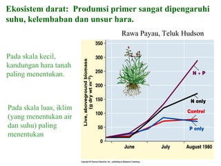 Ekosistem darat: Produmsi primer sangat dipengaruhi
suhu, kelembaban dan unsur hara.
Pada skala kecil,
kandungan hara tanah
paling menentukan.
Rawa Payau, Teluk Hudson
Pada skala luas, iklim
(yang menentukan air
dan suhu) paling
menentukan
 