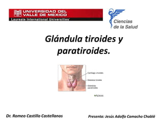 Presenta: Jesús Adolfo Camacho ChabléDr. Romeo Castillo Castellanos
Glándula tiroides y
paratiroides.
 