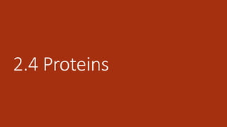 2.4 Proteins
 