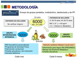 METODOLOGÍAMETODOLOGÍA
Ensayo de grupos paralelos, multicéntrico, aleatorizado y de PP
6000
3000 3000
H: 55-75 años M: 60-75 años
IMC ≥ 27 y < 40 kg/m2
3 ó + criterios S. Metabólico
No verificar ninguno
CRITERIOS DE INCLUSIÓN
CRITERIOS DE EXCLUSIÓN
GRUPO
CONTROL
GRUPO
INTERVENCIÓN
INTENSIVA
•DM hipocalórica personalizada
•Programas de Actividad Física
•Intervención conductual
•Charlas educativas y de motivación
•Llamada telefónica
•Información para seguir DM (PREDIMED)
•Manejo del Síndrome Metabólico
•Charlas educativas
gratuitos
Cada 6 mesesCada mes
Atención sanitaria habitual (“usual care”)
Máx. 25% DM2
22 nodos
 