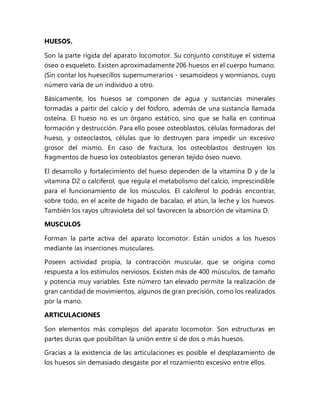 HUESOS.
Son la parte rígida del aparato locomotor. Su conjunto constituye el sistema
óseo o esqueleto. Existen aproximadamente 206 huesos en el cuerpo humano.
(Sin contar los huesecillos supernumerarios - sesamoideos y wormianos, cuyo
número varía de un individuo a otro.
Básicamente, los huesos se componen de agua y sustancias minerales
formadas a partir del calcio y del fósforo, además de una sustancia llamada
osteína. El hueso no es un órgano estático, sino que se halla en continua
formación y destrucción. Para ello posee osteoblastos, células formadoras del
hueso, y osteoclastos, células que lo destruyen para impedir un excesivo
grosor del mismo. En caso de fractura, los osteoblastos destruyen los
fragmentos de hueso los osteoblastos generan tejido óseo nuevo.
El desarrollo y fortalecimiento del hueso dependen de la vitamina D y de la
vitamina D2 o calciferol, que regula el metabolismo del calcio, imprescindible
para el funcionamiento de los músculos. El calciferol lo podrás encontrar,
sobre todo, en el aceite de hígado de bacalao, el atún, la leche y los huevos.
También los rayos ultravioleta del sol favorecen la absorción de vitamina D.
MUSCULOS
Forman la parte activa del aparato locomotor. Están unidos a los huesos
mediante las inserciones musculares.
Poseen actividad propia, la contracción muscular, que se origina como
respuesta a los estímulos nerviosos. Existen más de 400 músculos, de tamaño
y potencia muy variables. Este número tan elevado permite la realización de
gran cantidad de movimientos, algunos de gran precisión, como los realizados
por la mano.
ARTICULACIONES
Son elementos más complejos del aparato locomotor. Son estructuras en
partes duras que posibilitan la unión entre sí de dos o más huesos.
Gracias a la existencia de las articulaciones es posible el desplazamiento de
los huesos sin demasiado desgaste por el rozamiento excesivo entre ellos.
 