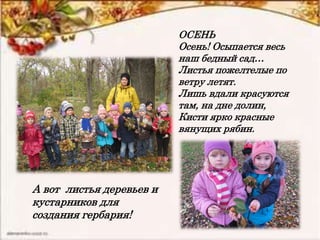А вот листья деревьев и
кустарников для
создания гербария!
ОСЕНЬ
Осень! Осыпается весь
наш бедный сад…
Листья пожелтелые по
ветру летят.
Лишь вдали красуются
там, на дне долин,
Кисти ярко красные
вянущих рябин.