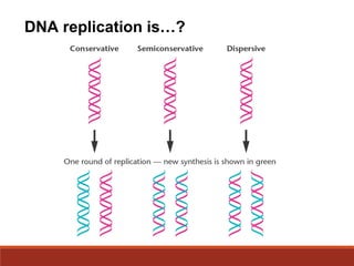 DNA replication is…?
 