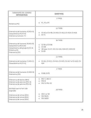 25
SUBGRUPOS DEL GENERO
ENTEROVIRUS
SEROTIPOS
Poliovirus (PV)
3 TIPOS
 P1, P2 y P3
Enterovirus de humanos A (HEV-A)
Coxsackievirus A (CV-A)
Enterovirus humano 71
12 TIPOS
 CV-A2 al CV-A8, CV-A10, CV-A12, CV-A14, CV-A16
 EV 71
Enterovirus de humanos B (HEV-B)
Coxsackievirus B (CV-B)
Coxsackievirus del grupo A (CV-A)
Echovirus (E)
Enterovirus (EV)
36 TIPOS
 CV-B1 al CV-B6
 CV-A9
 28 tipos: E1-E7, E9, E11-E21, E24-E27, E29-E33
 EV 69
Enterovirus de humanos C (HEV-C)
Coxsackievirus A (CV-A)
11 TIPOS
 CV-A1, CV-A11, CV-A13, CV-A15, CV-A17 al CV-A22, CV-
A24
Enterovirus de humanos D (HEV-D)
Enterovirus (EV)
2 TIPOS
 EV68, EV70
Enterovirus de bovino (BEV)
Enterovirus de porcino (PEV-A)
Enterovirus de porcino (PEV-B)
Serotipos que no han sido
asignados
Enterovirus de simios (SEV)
Enterovirus de simios (SEV)
Enterovirus de simios (SEV)
 BEV-1, BEV-2
 PEV-8
 PEV-9, PEV-10
20 TIPOS
 SEV-1 al 18
 SEV-N125
 SEV-N203
 
