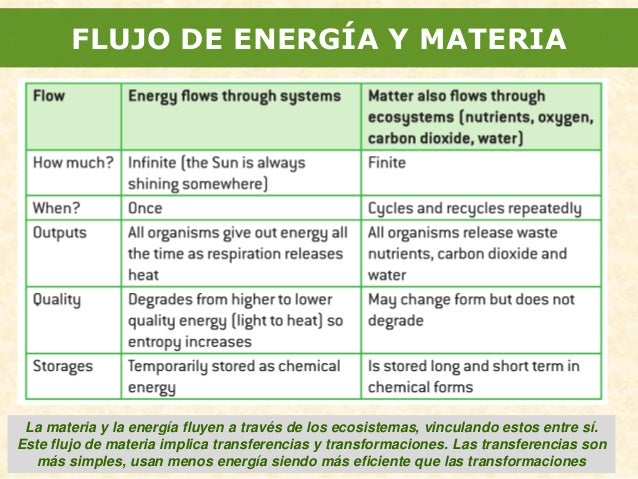 2.3. flujo de materia y energía