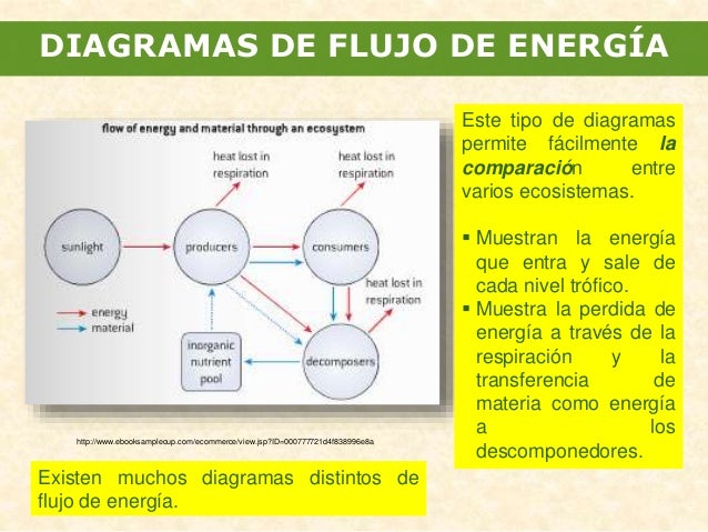 15+ [ Ejem De Los Tipos De Entradas De Los Diagramas De 