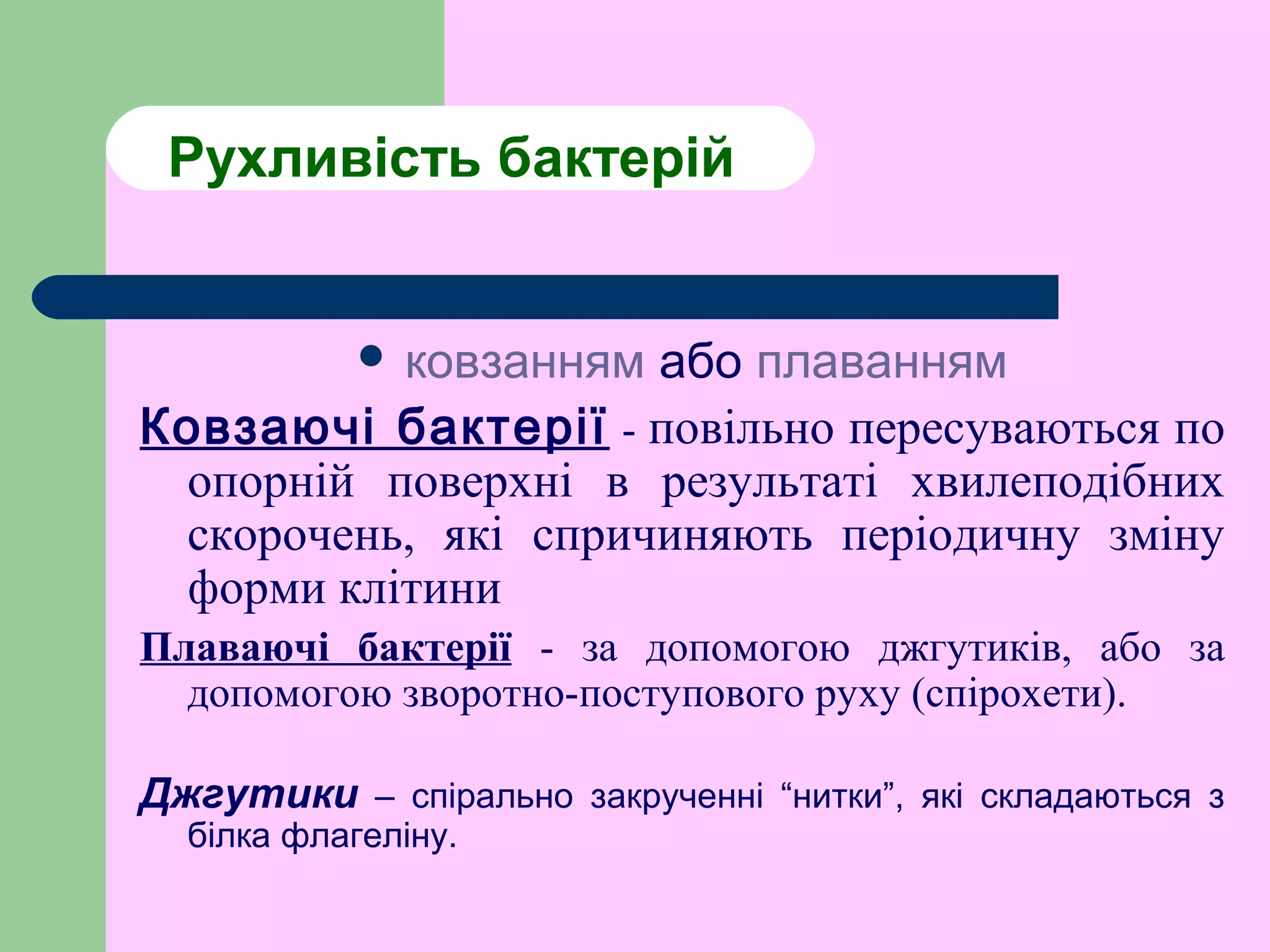 Рухливість бактерій
 ковзанням або плаванням
Ковзаючі бактерії - повільно пересуваються по
опорній поверхні в результаті хвилеподібних
скорочень, які спричиняють періодичну зміну
форми клітини
Плаваючі бактерії - за допомогою джгутиків, або за
допомогою зворотно-поступового руху (спірохети).
Джгутики – спірально закрученні “нитки”, які складаються з
білка флагеліну.
 