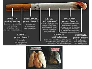 ΚΑΛΟΓΕΡΙΔΗΣ ΣΥΜΕΩΝ Β2