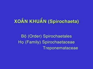 XOAÉN KHUAÅN (Spirochaeta)
Boä (Order) Spirochaetales
Hoï (Family) Spirochaetaceae
Treponemataceae
 
