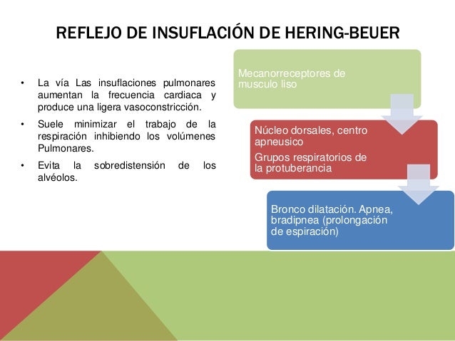 El control de la respiración